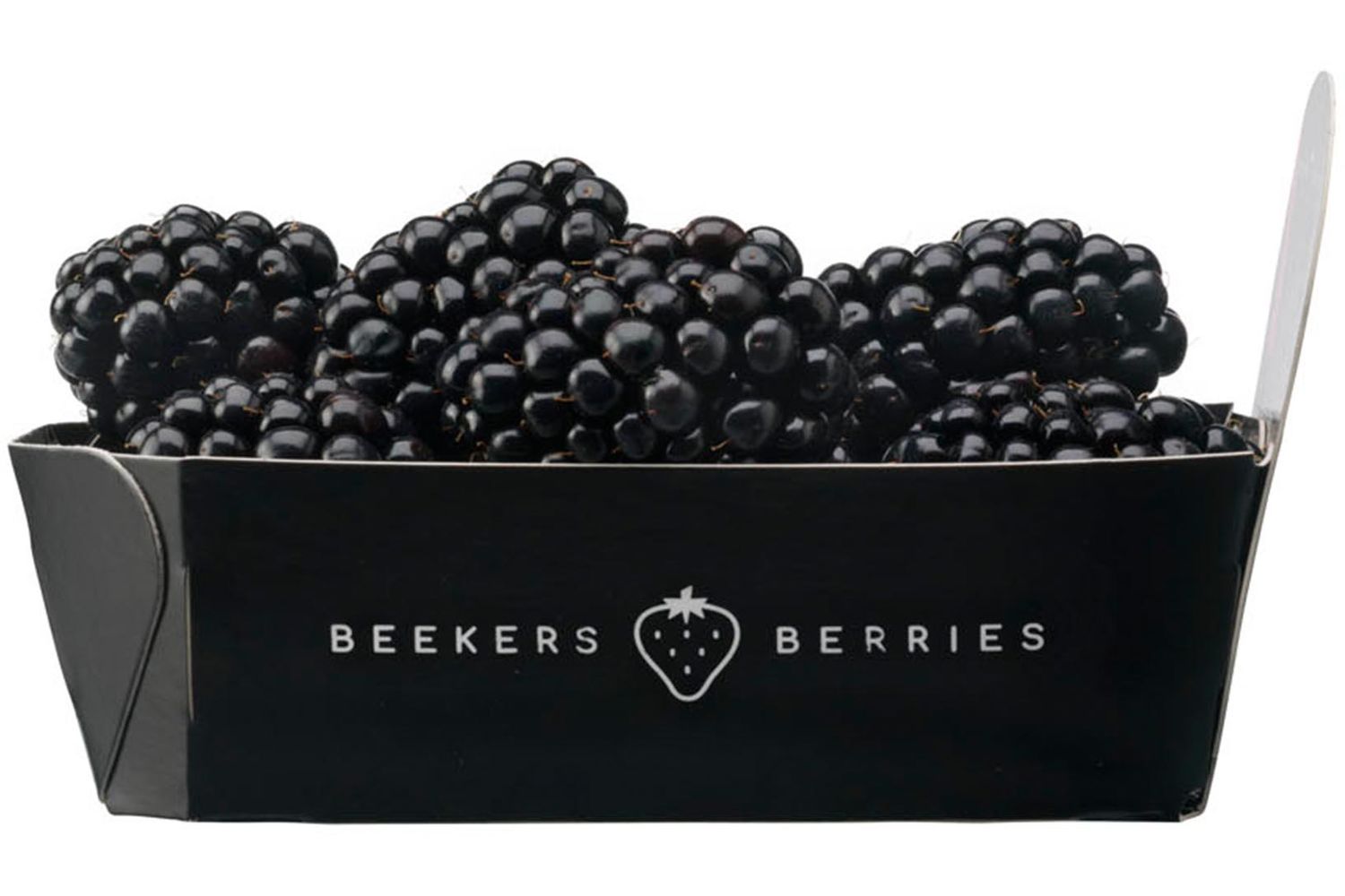 Bramen beekers berries 125gr kist 12 stuks 2